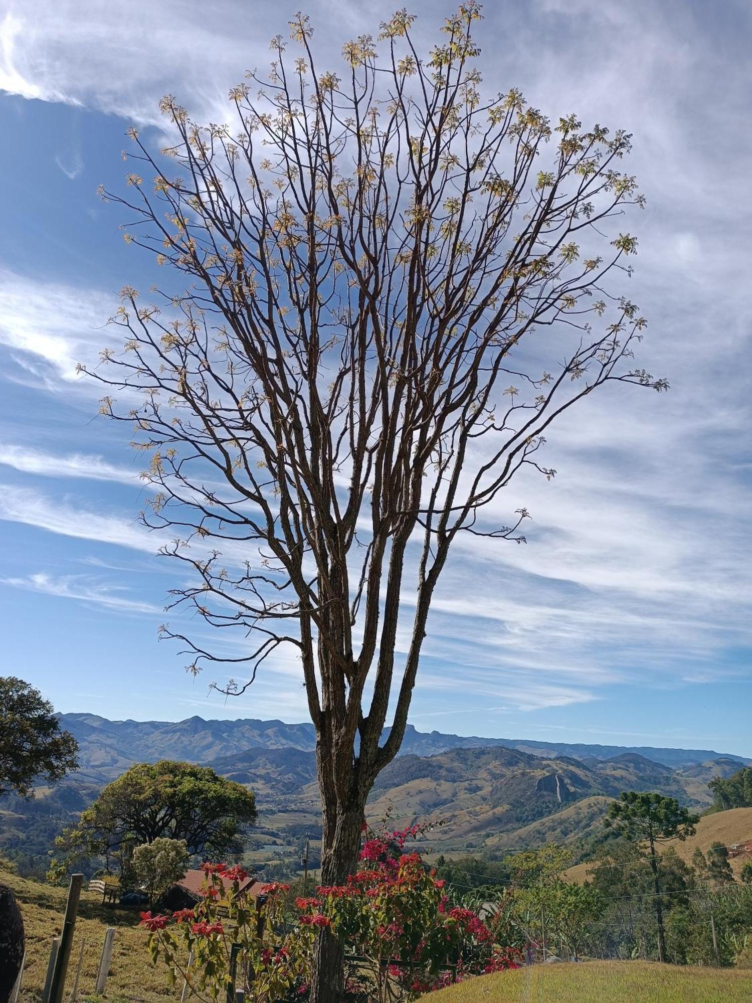 Chalé da Sorte Gonçalves Exterior foto